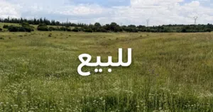 Farm Land for Sale in Kairouan Other