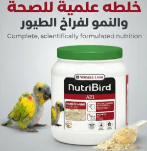 غذاء البغبغاء[الفراخ]