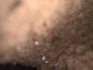 دعاء ابو رحمة 