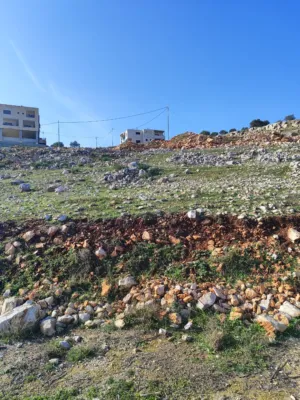 Mixed Use . 502 m2 . Landlord2