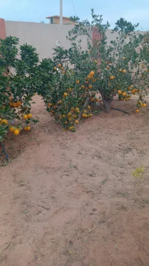 استراحه في السيدة زينب للبيع