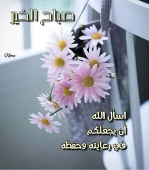 شقة مفروشة للأيجار حيى السلام