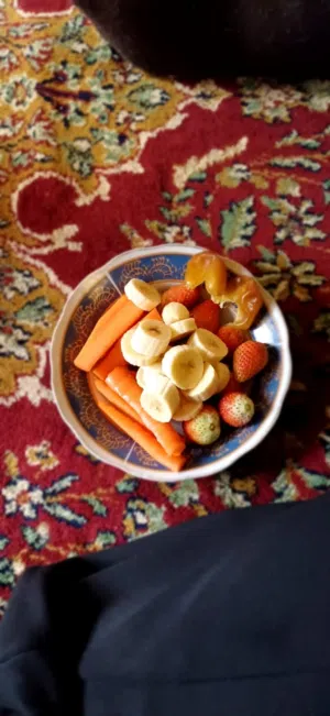 اسامة ابراهيم القع 