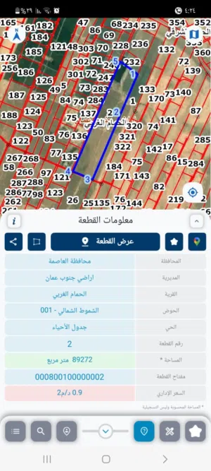 علي القطيفان