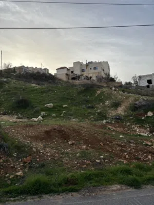 Residential Land for Sale in Amman Dabouq