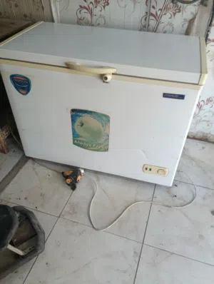 مجمده رويل الصليه