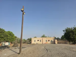 Unfurnished Yearly in Al Batinah Saham