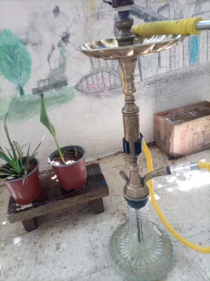احلا نفس تفاحتين