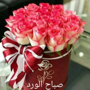 حسين البصراوي ابو علي