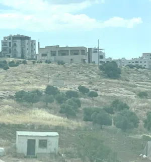 Residential Land for Sale in Amman Shafa Badran