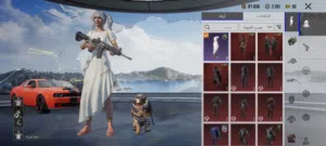 Pubg Accounts and Characters for Sale in Tripoli
