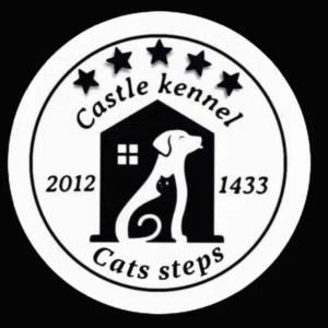Castle Kennel And Cats Steps 