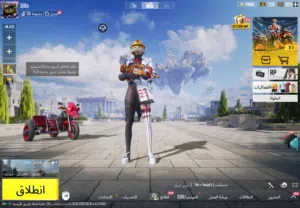 Pubg Accounts and Characters for Sale in Hafar Al Batin