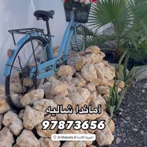 أماندا شاليه 