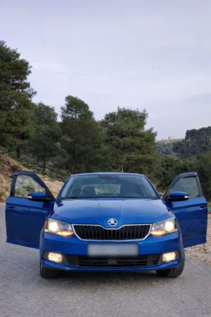 Used Skoda Fabia in Hebron