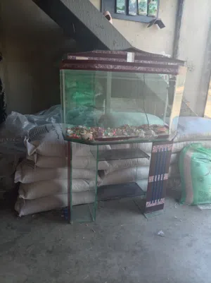 حوض سمك نخب أول