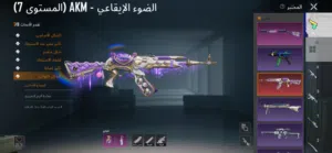 Pubg Accounts and Characters for Sale in Basra