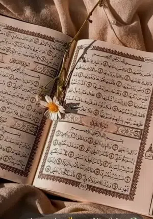 هنادي 