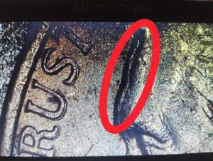 جيفرسون نيكل 1999 دبل رقم دبل حرف دبل وجه دبل قبة دبل كتابة