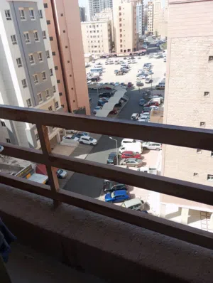 مطلوب فرد مشاركة سكن بالسلمية