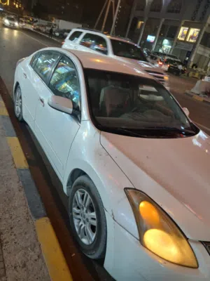 التيما 2011
