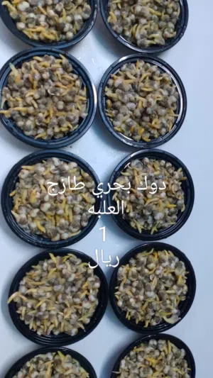 طبخات جاهزه دوك بحري طازج بشكل يومي مطبوخ ومنظف  محار طازج وامورك طيبه