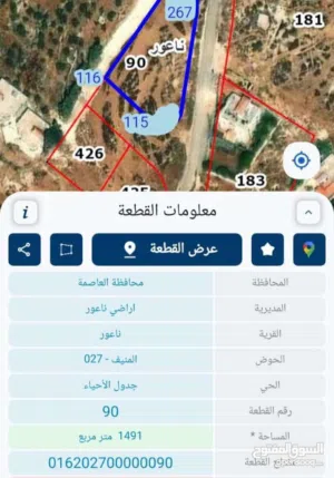 Residential Land for Sale in Amman Naour