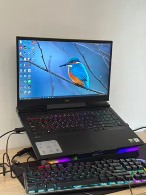 Windows Dell  Computers  for sale  in Mosul