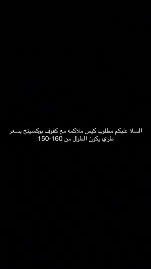 مطلوب كيس ملاكمه