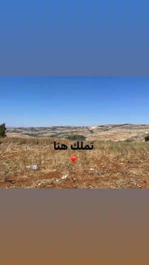 قطعة ارض في أجمل مناطق ناعور المشقر