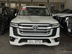 Vx limited 2024 Sas