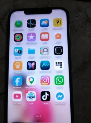 Apple iPhone 12 Pro Max 256 GB in Tripoli