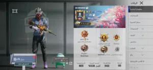 حساب ببجي للبيع