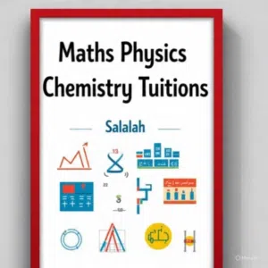 Acedemic tuitions-kg to 12 /maths, physics & chemistry etc