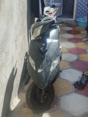 ماكس ثعلب للبيع