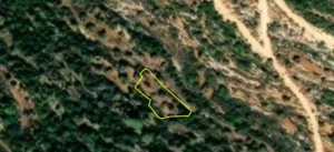 ارض طابو زتون تصنيف b