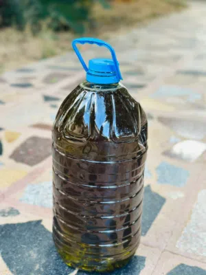 زيت ربي يبارك ذوق قبل ماترفع