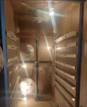 فقاست بيض للبيع