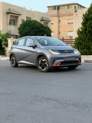 byd dolphin 2022/ بي واي دي دولفن 2022