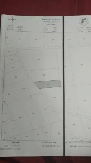 ارض زراعيه للبيع ضبعه