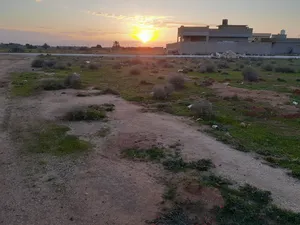 Residential . 700 m2 . Landlord2