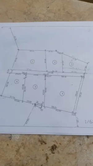 Commercial . 1575 m2 . Landlord1