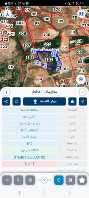 Farm Land for Sale in Amman Naour