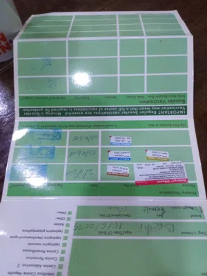 كلاب بومرينن العمر 6 شهور ونص مأخذ جميع المطاعيم لعوب شعر كثيف اليف جداا