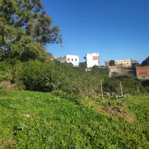 Residential Land for Sale in Tanger Ziatene