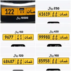 رقم ثلاثي للبيع 122 رقم رباعي للبيع 9677 رقم خماسي للبيع 99980
