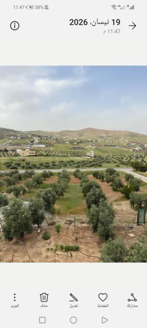 Farm Land for Sale in Zarqa Sarout