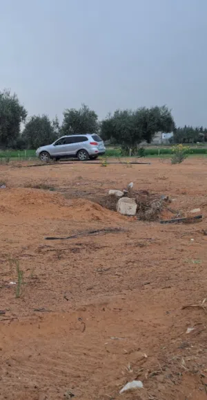 Mixed Use Land for Sale in Tripoli Qasr Bin Ghashir