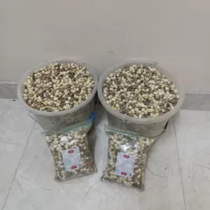 للبيع بذور الشوع أقرأ الوصف