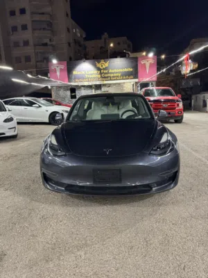 Tesla Model 3 Standard Range Plus 2021